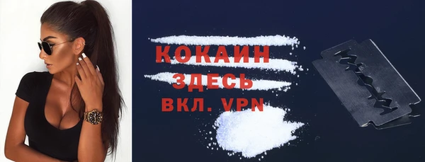 стафф Надым