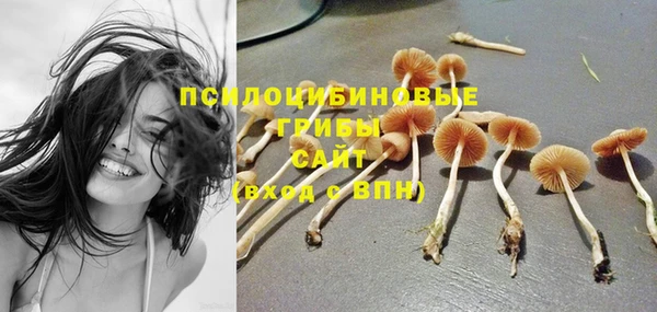 ALPHA PVP Михайловка