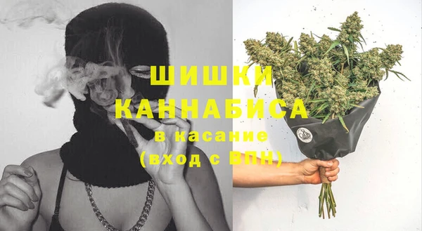 стафф Надым