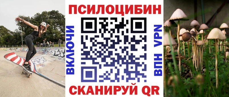 KRAKEN вход  Кудымкар  darknet состав  Псилоцибиновые грибы мицелий 