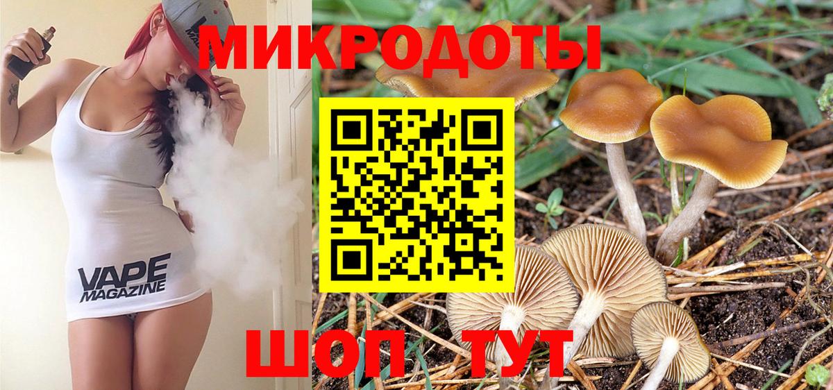 Псилоцибиновые грибы мухоморы Кудымкар