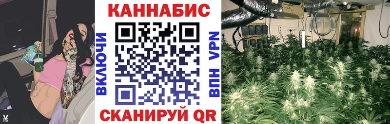 блэк спрут вход  Кудымкар  Шишки марихуана планчик  хочу наркоту 